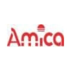 Amica Filtr węglowy FW-K 202