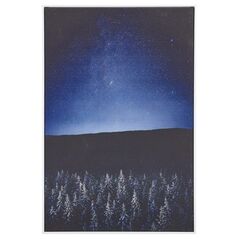 Beliani Obraz na płótnie w ramie nocny krajobraz 63 x 93 cm niebiesko-czarny LORETO!