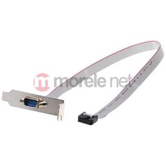 Delock Śledź niskoprofilowy 1x COM DB9 (89300)