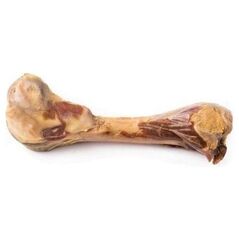 Zolux Kość z szynki parmeńskiej M 170 g