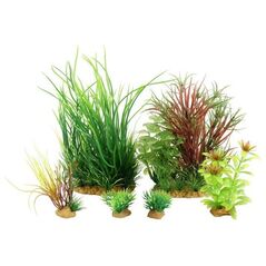 Zolux Dekoracja roślinna PlantKit Jalaya model 4 (352148)