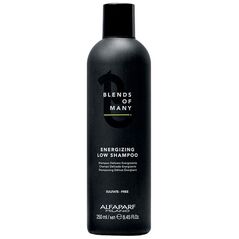 Alfaparf Blends Of Many 250ml