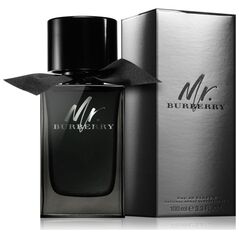 Burberry Mr. Burberry EDP 100 ml