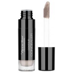 Pierre Rene PIERRE RENE_Contour Concealer kryjący korektor w płynie 01