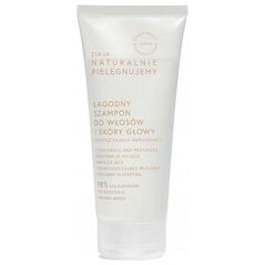 Ziaja ZIAJA_Naturalnie Pielęgnujemy łagodny szampon do włosów i skóry głowy oczyszczająco-nawilżający 200ml