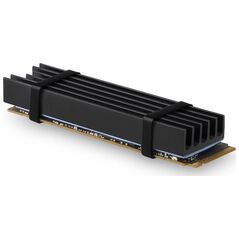 Axagon Radiator do dysku SSD M.2 (CLR-M2L10)