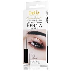 Delia Eyebrow Expert jednoskładnikowa ekspresowa henna do brwi 1.0 Czarny 6ml