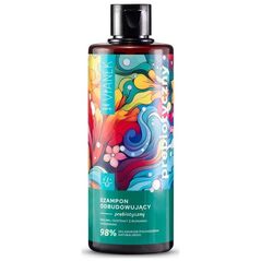 Vianek Vianek Prebiotyczny szampon odbudowujący 300ml