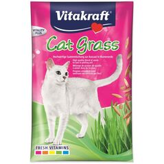 Vitakraft VITAKRAFT CAT GRASS nasiona trawy przysmak dla kota 50g