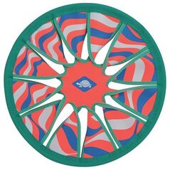 Schildkrot Frisbee Neoprenowy Dysk do Rzucania SCHILDKROT Green