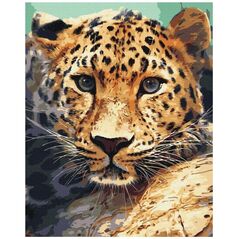 Pegasus Elliot Mackenzie Publishers Paint it! BS51736 Gepard