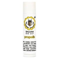 Alkotest MIODOWA MYDLARNIA_ Balsam do ust Propolis 4,5ml