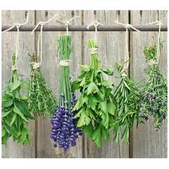 Zeller LAVENDER προστατευτική πλάκα για τη σόμπα – μεγάλη, ZELLER 13429088 4003368263014