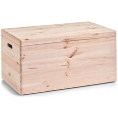 Zeller Storage δοχείο, organizer με κάλυμμα, 30 l, ZELLER 13429047 4003368131528