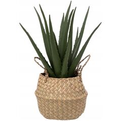 Atmosphera Τεχνητό φυτό ALOE σε καλάθι, 37 cm 13430181 3560231660567