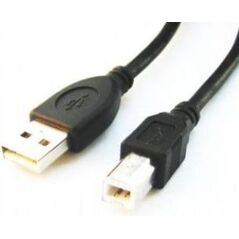 Kabel USB Gembird USB-A - 1.8 m Czarny (CCPUSB2AMBM6)