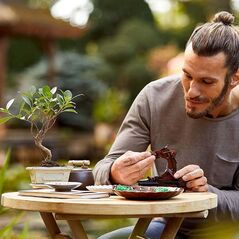 Lego Creator Expert: Bonsai Tree για 18+ ετών (10281) (LGO10281) έως 12 άτοκες Δόσεις