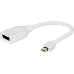 Adapter AV Gembird DisplayPort Mini - DisplayPort biały (A-MDPM-DPF-001-W)