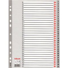 Esselte 1-31 SZARE PP - 100108 486273 5902812001082