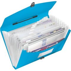 Esselte Teczka z przegródkami i rączką A4 Vivida (10K053C) 651949 4049793028446