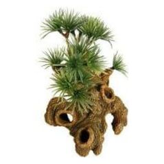 Zolux Dekoracja "Bonzai" miniatura 1106429 3336028542275