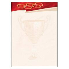 Argo DYPLOM SPORT 170g 25ARK GALERIA PAPIERU - 212317 1482450 5903069913227