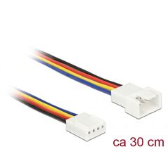 Delock 4-pin - 4-pin, 0.3m, Wielokolorowy (85361) 1670682 4043619853618