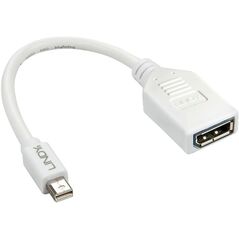 Adapter AV Lindy DisplayPort Mini - DisplayPort biały (41021) 1770610 4002888410212