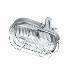 Lena Lighting Oprawa Oval 100 klosz szklany bezbarwny osłona z siatki drucianej (100178) 3169686 5905963100178