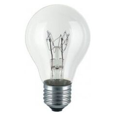 Helios Żarówka sygnalizacyjna przemysłowa 230V 40W E27 A55CL (SYG-2074) 3182707 5907758829622