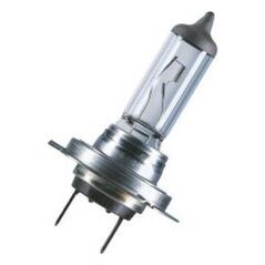 Osram Żarówka samochodowa Orginal PX26d 12V H7 55W (64210) 3341069 4050300332185