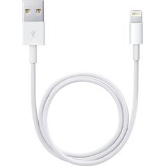 Apple USB-A - Καλώδιο Lightning 0,5 m Λευκό (ME291ZM/A) 555371 885909707973