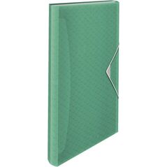 Esselte TECZKA Z PRZEGRÓDKAMI COLOUR`ICE ZIELONA 4936525 4049793053073