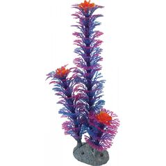 Zolux Ozdoba roślina niebieska M 22 cm 4961079 3336023520681