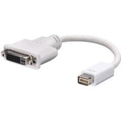 Adapter AV Lindy DVI Mini - DVI-D biały (41000) 5352786 4002888410007