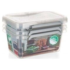 Zestaw do przechowywania żywności NanoBox, 3 szt 5663599 5902541301118