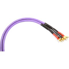 Kabel Melodika Widły - Widły 2.5m fioletowy 6030706 5907609008060