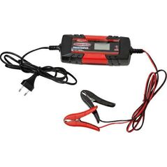 Weldman PROSTOWNIK CHARGE 50 6V/12V 104501 6419960 5902701750947