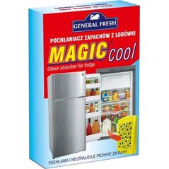 Staples GENERAŁ Pochłaniacz zapachów do lodówek 6604318 5900785871015