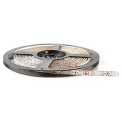 Taśma LED Ecolight Eco Light Taśma LED 300 diod 2835 IP20 6500K 5m 24W 1500lm 12V EC79016 7929159 5901986790167