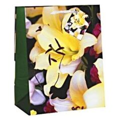 Canpol TorbaTR-40 MIX 33x45,7x10,2 cm 8161282 5902814359082