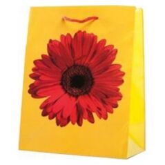 Canpol Torba TG-20 zwierzęta, egzotyka A5 23x17,5cm mix 8161285 5902814351369