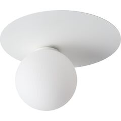 Lampa sufitowa Sigma Nowoczesny plafon sufitowy do niskich wnętrz Sigma ARGON LED Ready 33262 9535542 5907554415845