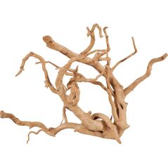 Zolux Korzeń japoński Spider Wood 30 40 cm 9598246 3336023560519