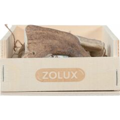 Zolux ZOLUX Poroże daniela EASY S 13110189 3336024823286