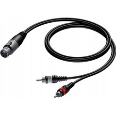 Kabel Procab PROCAB CAB704/3 XLR żeński do 2 x RCA/Cinch męski 3 m 13332302 5414795001329