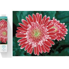 DIAMOND DOTZ Haft diamentowy Diamond Dotz Diamentowa mozaika Gerbera różowa 58x48cm DQ10001 13914738 4895225917938
