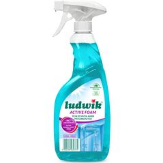 Ludwik PŁYN DO CZYSZCZENIA KABIN PRYSZNICOWYCH LUDWIK 600ML 9375 13966454 5900498039375