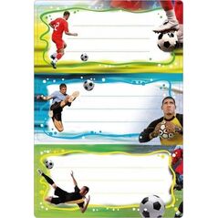 Herma HERMA  Schuletiketten Vario Fußball Beglimmert 13977483 4008705055888