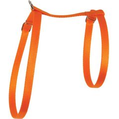 Zolux Szelki dla kota nylon 10 mm pomarańczowy 1107445 3336029461322